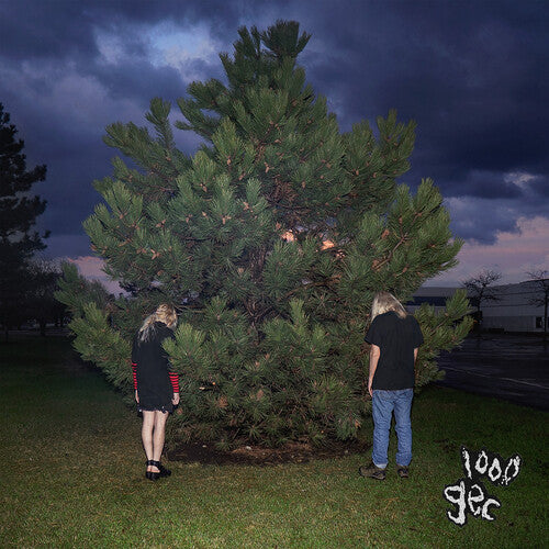 Order 1000 Gecs - 1000 Gecs (Vinyl)