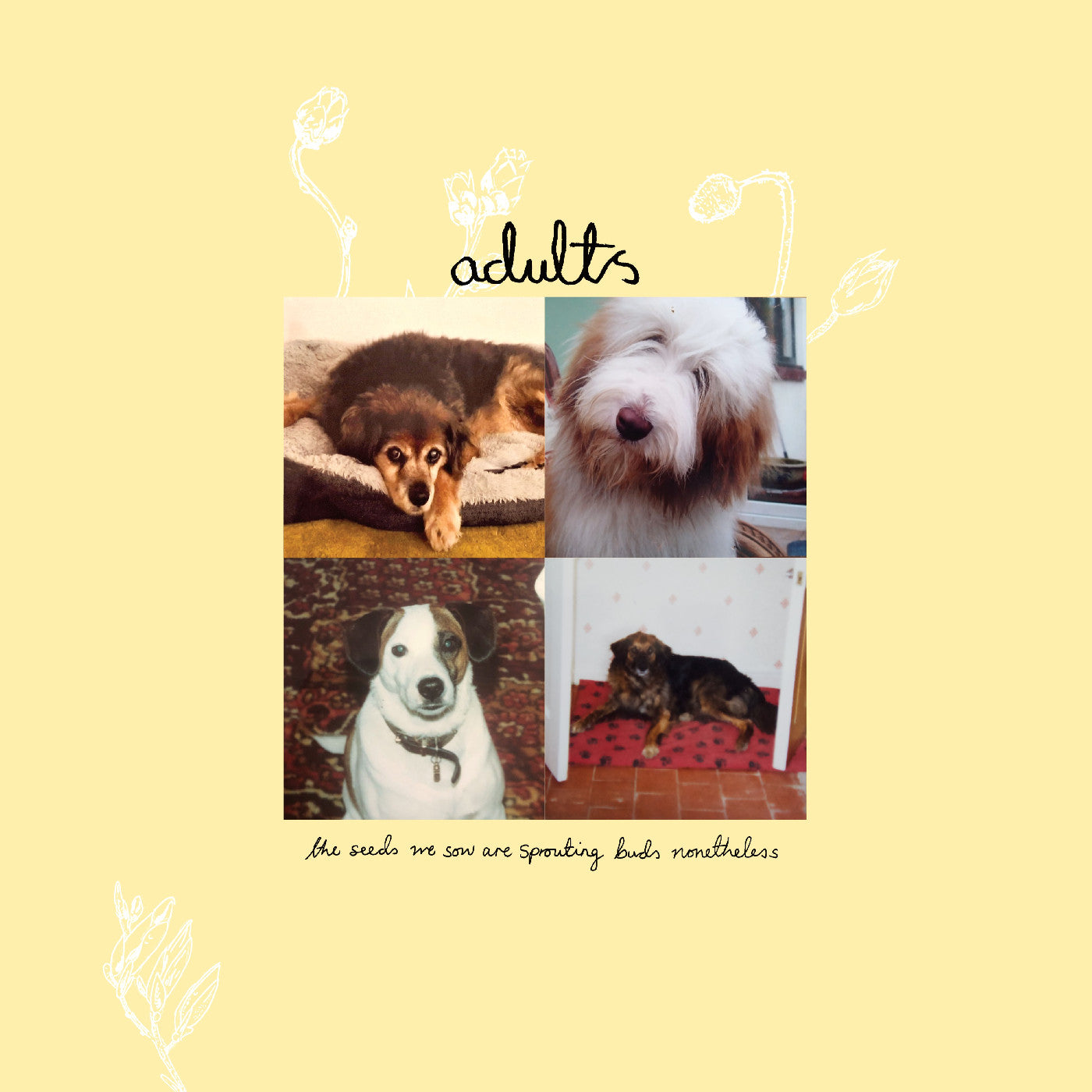 Adults - Green Vinyl) The Seeds We Sow Are Sprouting Buds Nonetheless (Indie Exclusive