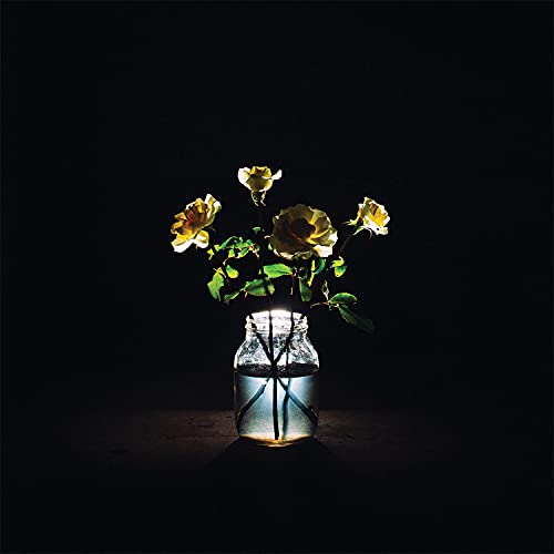 Billy Strings - Renewal (180 Gram Vinyl) (2 Lp's)