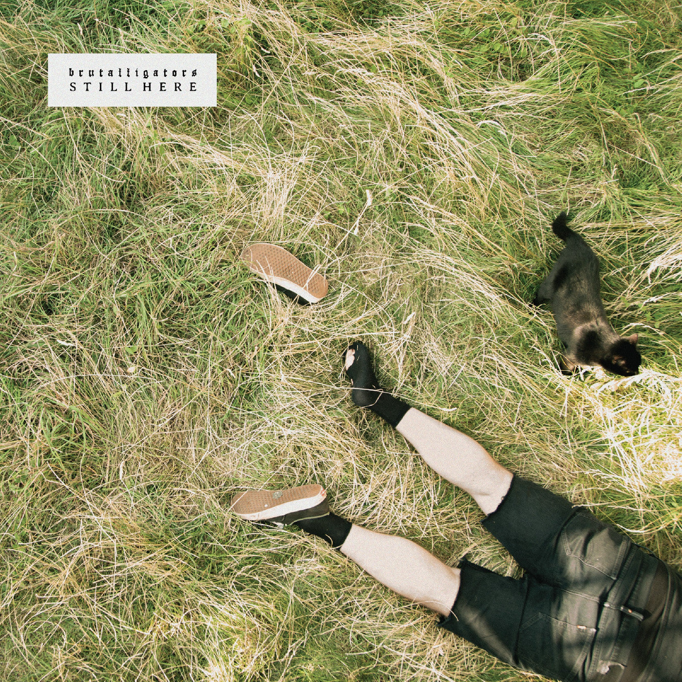 Brutalligators - Still Here (Indie Exclusive Grassy Green Marbled Vinyl)