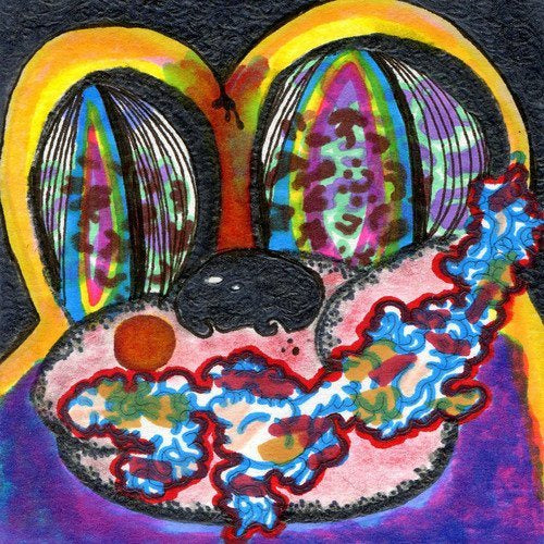 Cage The Elephant - Thank You, Happy Birthday