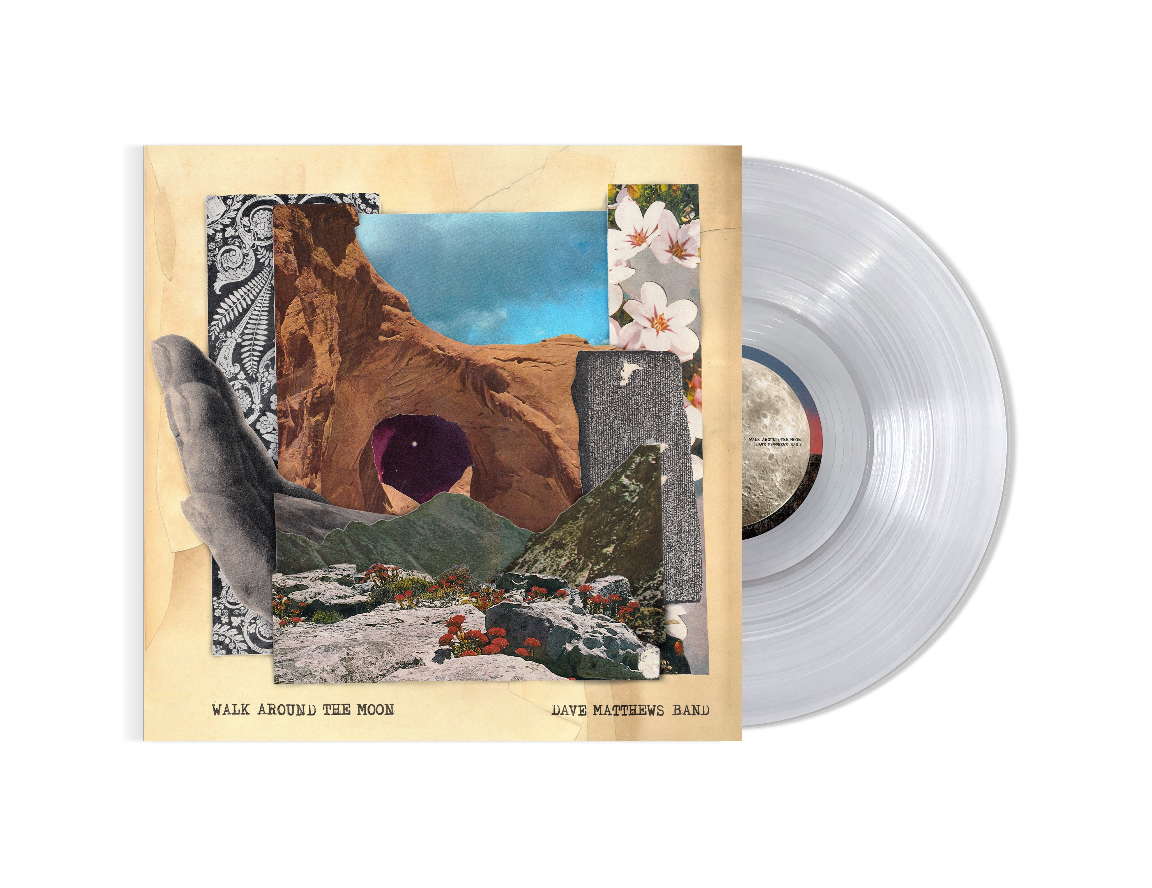 Dave Matthews Band - Walk Around The Moon (Indie Exclusive Clear Vinyl)