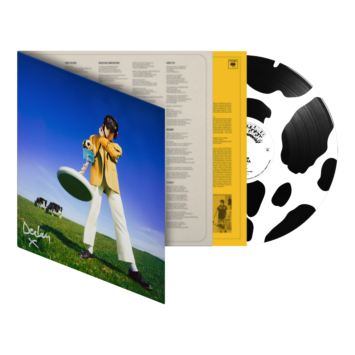 Order Declan McKenna - What Happened To The Beach? (Indie Exclusive Deluxe Moo Eco-Vinyl)