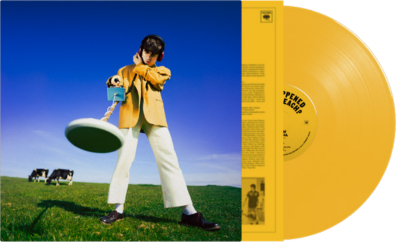 Order Declan McKenna - What Happened To The Beach? (Indie Exclusive Yellow Vinyl)