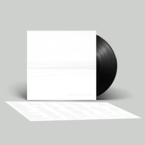 Foo Fighters - But Here We Are (Vinyl LP)