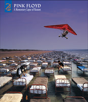 Pink Floyd - A Momentary Lapse Of Reason (180 Gram Vinyl, With Booklet, Gatefold LP Jacket) (2 Lp's)