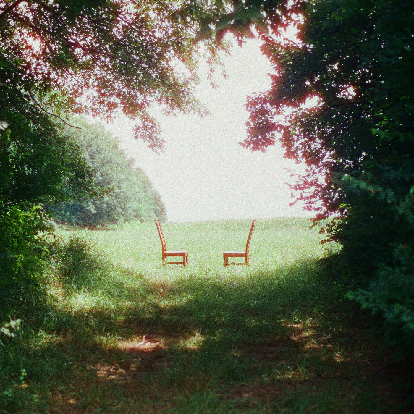 Ratboys - Singin' To An Empty Chair (Indie Exclusive, Green And Brown Marble Vinyl)