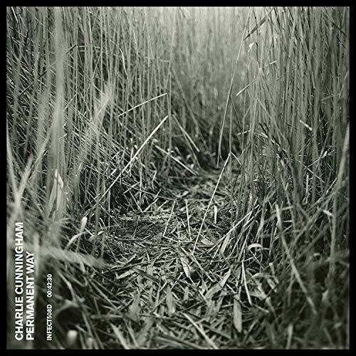 Order Charlie Cunningham - Permanent Way (Vinyl)