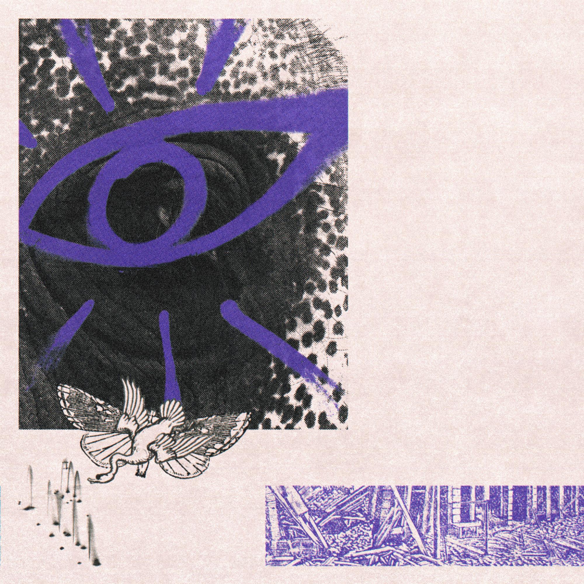 Buy Hippo Campus - LP3 (Indie Exclusive, Clear Purple Vinyl)