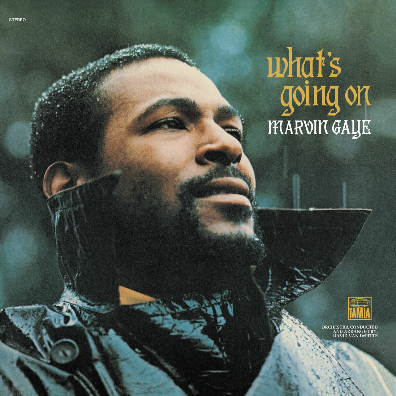 Buy Marvin Gaye - What's Going On (50th Anniversary Edition 2xLP Vinyl)