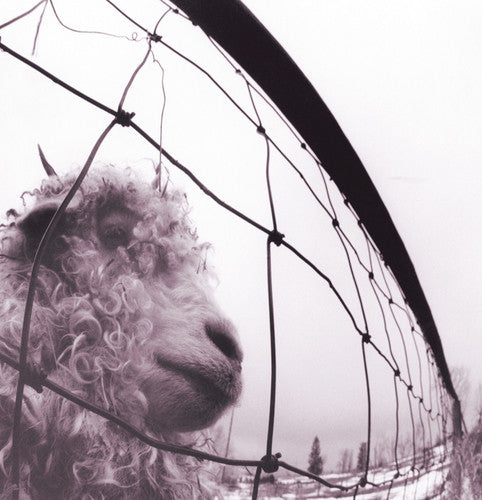 Buy Pearl Jam - Vs. (180 Gram Vinyl)