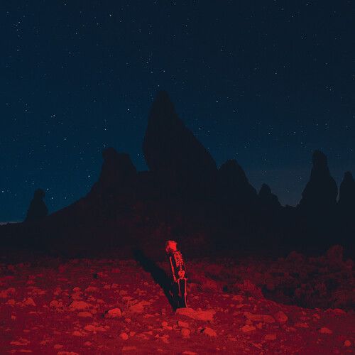 Buy Phoebe Bridgers - Punisher (Vinyl)