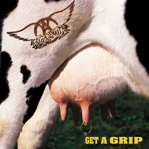 Order Aerosmith - Get A Grip (2xLP Vinyl)