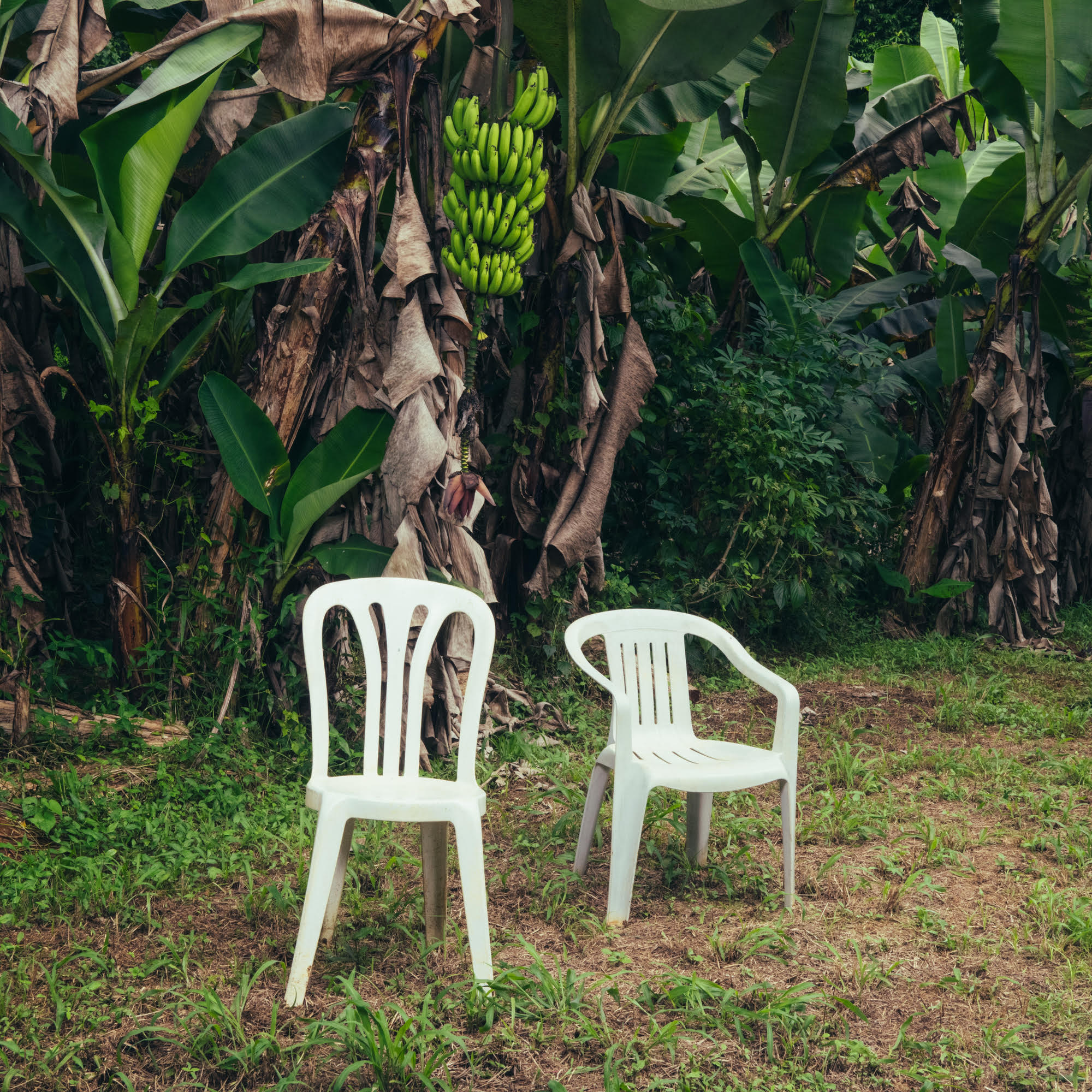Bad Bunny - Debi Tirar Mas Fotos [Opaque White Vinyl] [2LP]