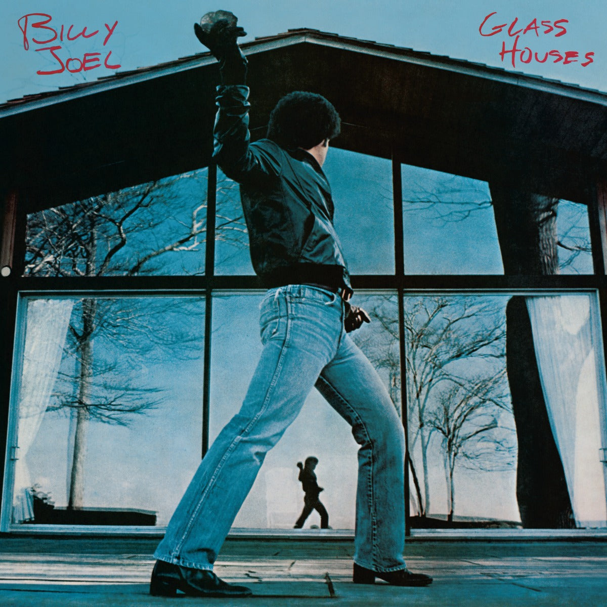Billy Joel - Glass Houses [Vinyl LP]