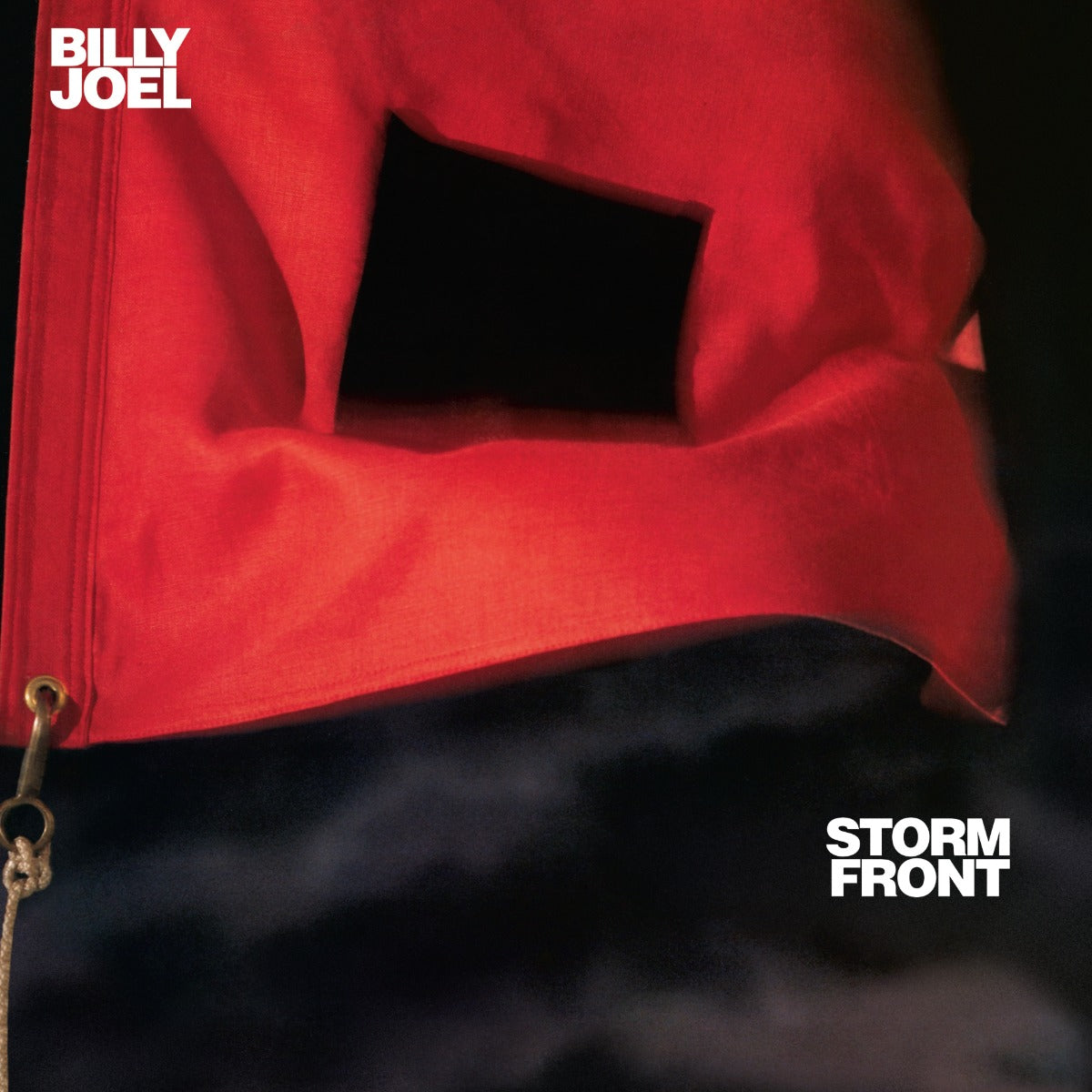 Billy Joel - Storm Front [Vinyl LP]