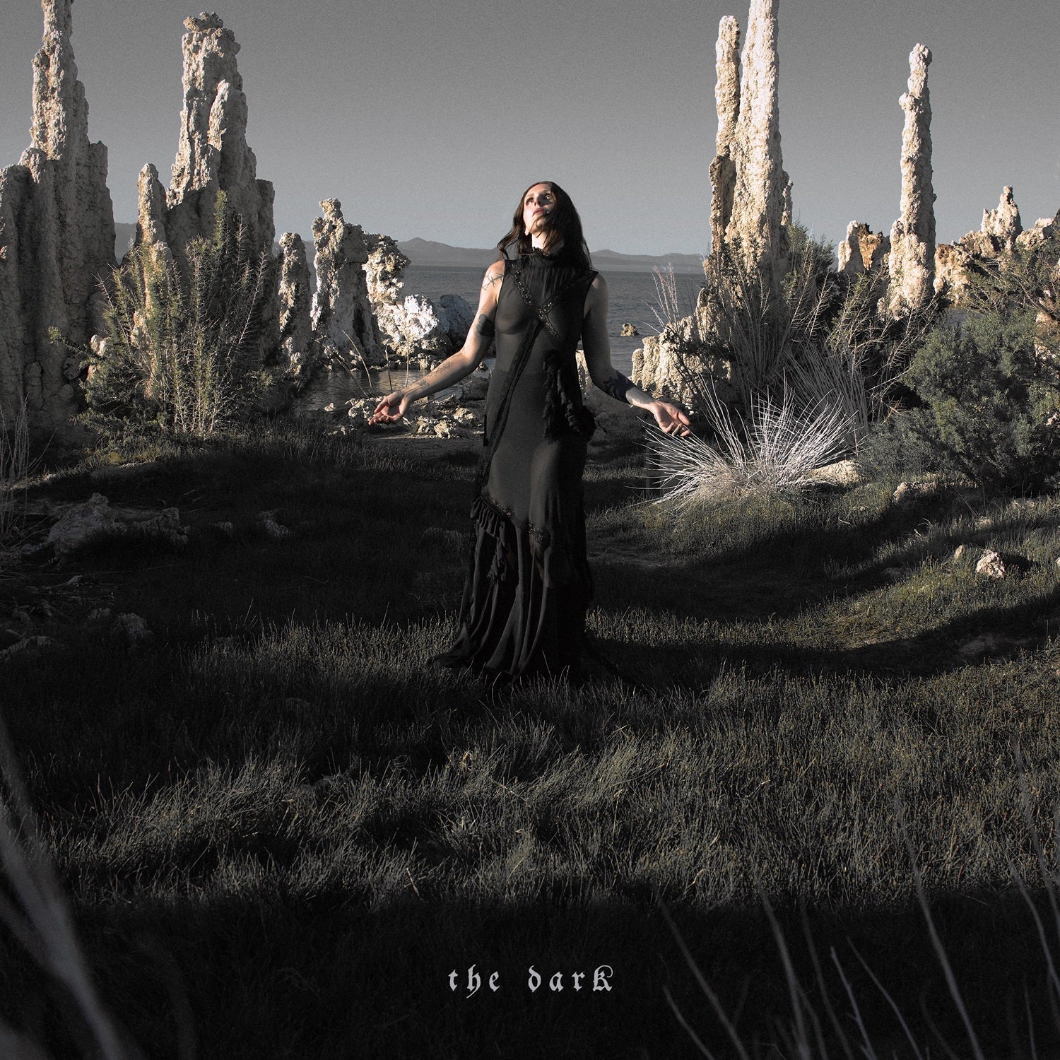 Chelsea Wolfe - The Dark [Translucent Dark Green Grass LP] [Signed]