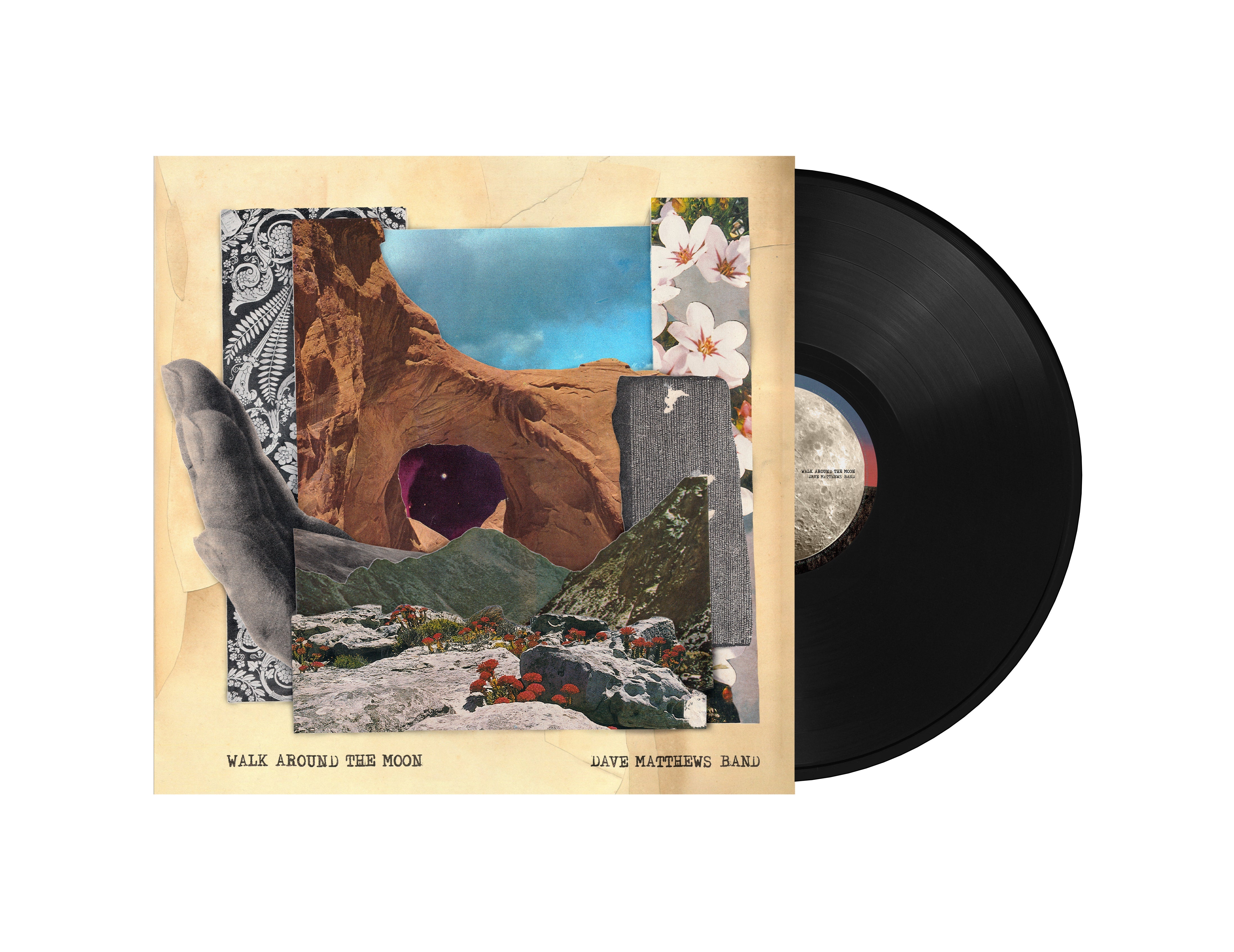 Dave Matthews Band - Walk Around The Moon (Black Vinyl)
