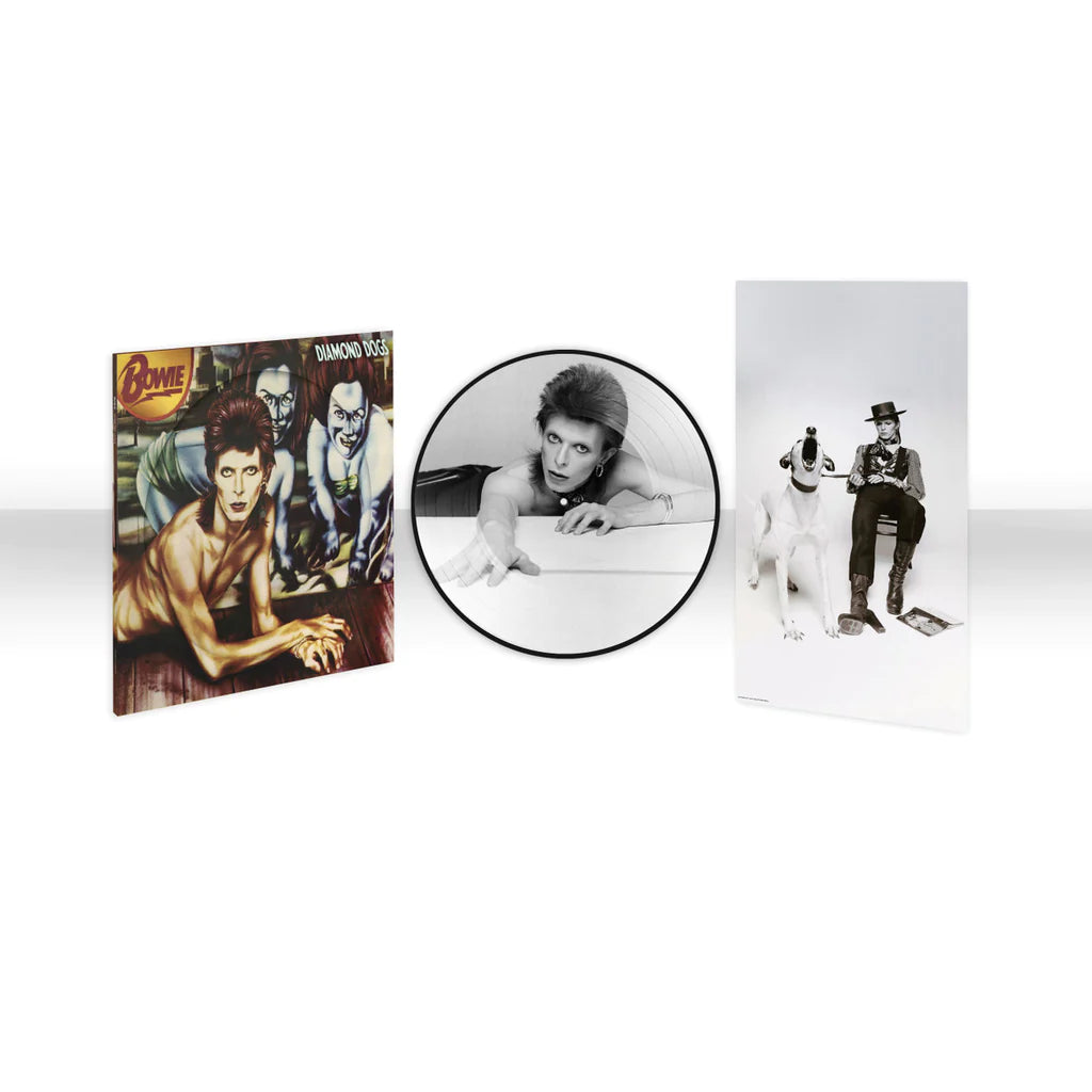 Order David Bowie - Diamond Dogs (50th Anniversary Picture Disc Vinyl)