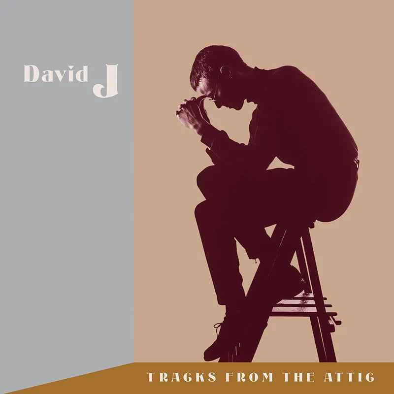 Order David J - Tracks From The Attic (RSD Black Friday, 3xLP Red Vinyl)
