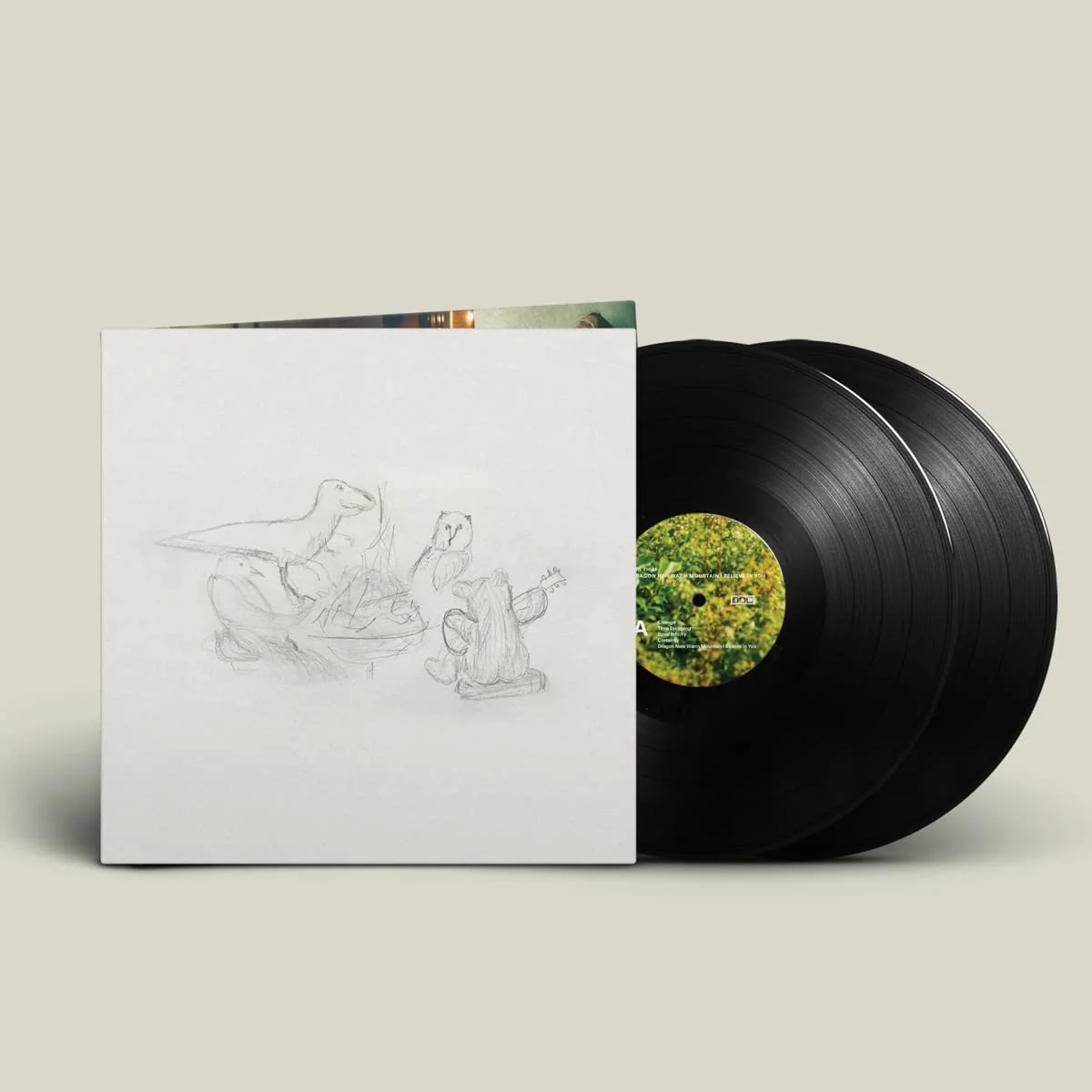 Big Thief - Dragon New Warm Mountain I Believe In You (2 LP)
