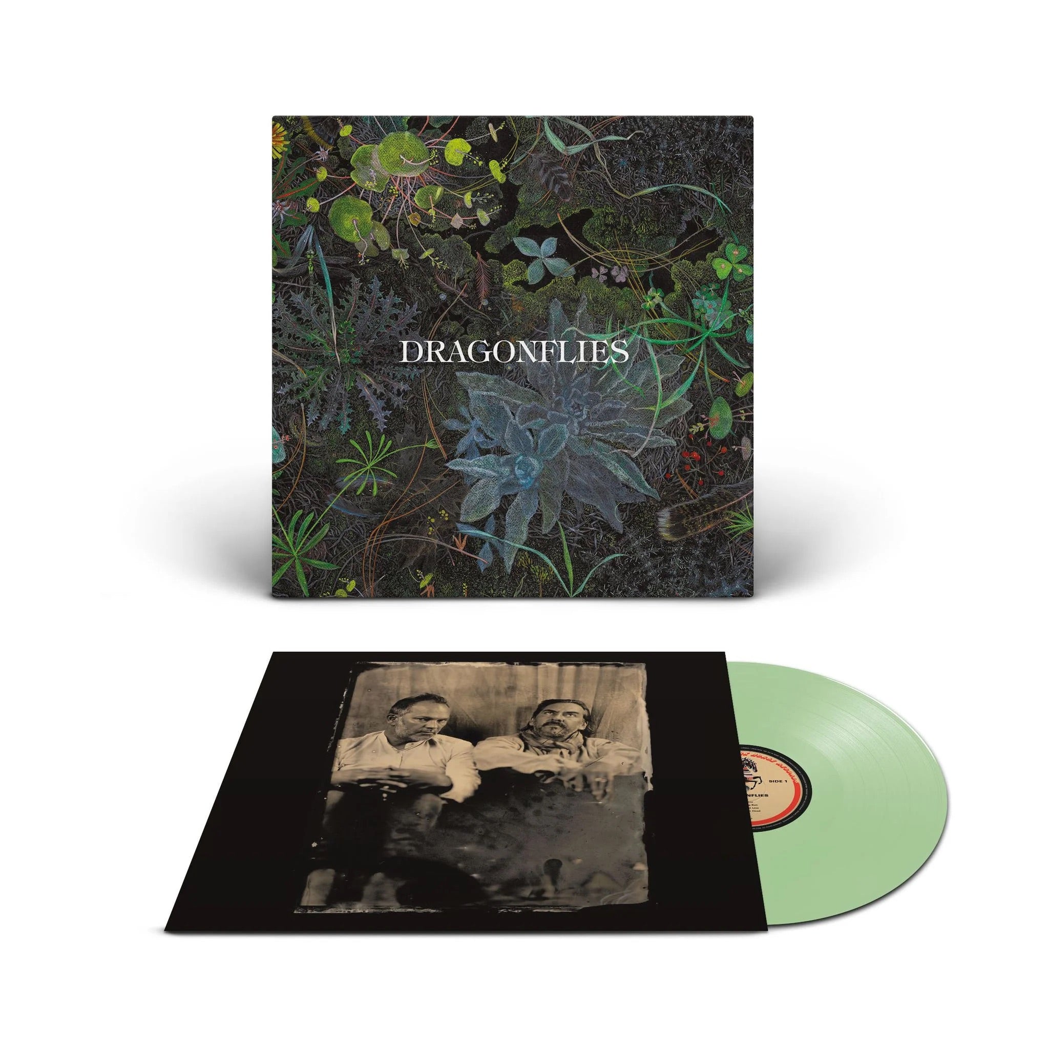 Dragonflies - Dragonflies (Indie Exclusive) [Coke Bottle Green LP]