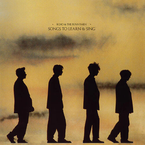 Echo & The Bunnymen - Songs To Learn & Sing [Yellow & Black Marble Vinyl LP]