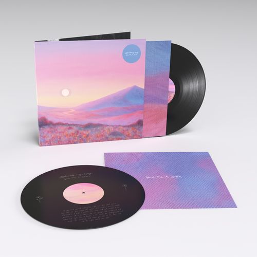Strawberry Guy - Give Me A Dream [180 Gram Vinyl]