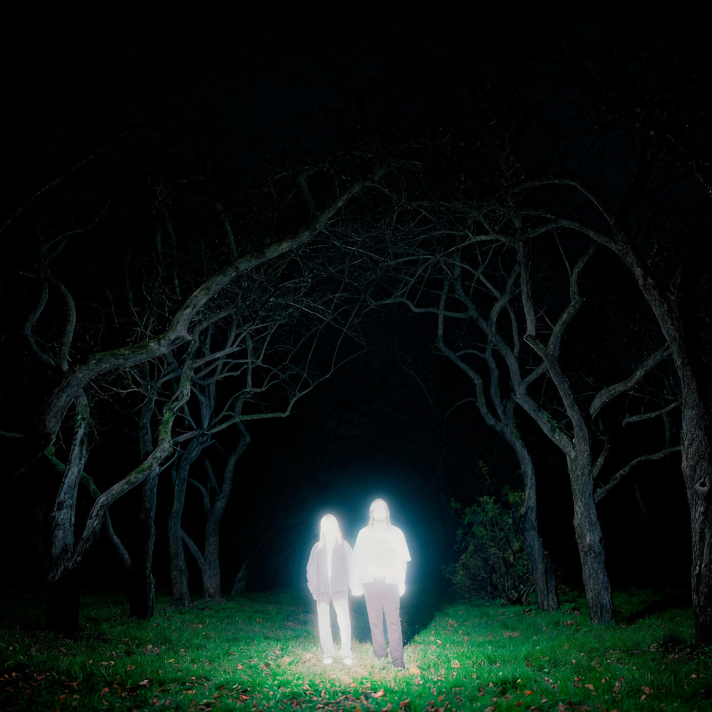 Gnoomes - Losey (Indie Exclusive) [Slate Gray Vinyl]