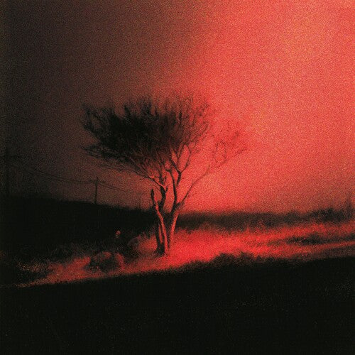 Joji - Piss In The Wind [Explicit Content] (Indie Exclusive, Prism Colored Vinyl)