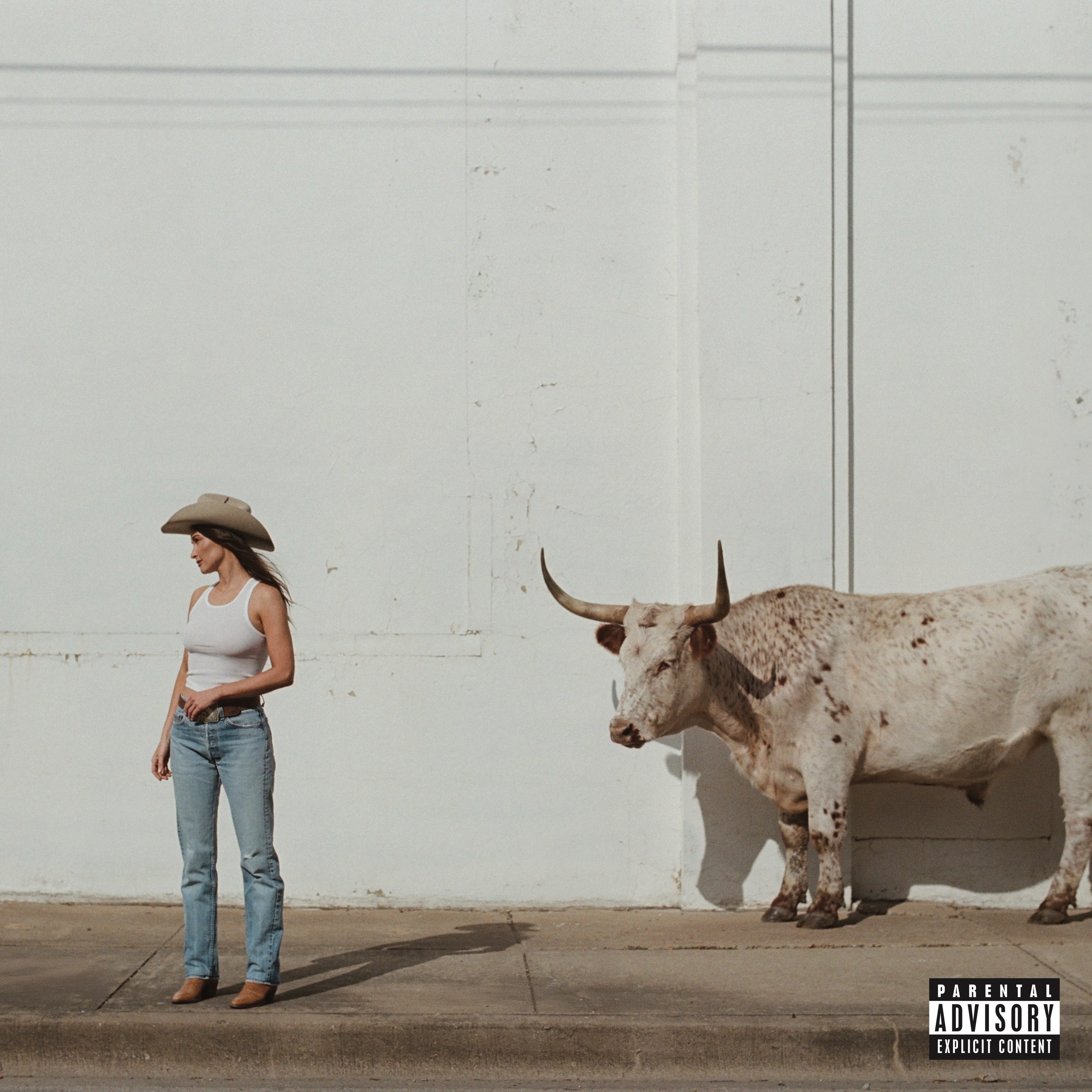 Kacey Musgraves - Middle Of Nowhere [Whiskey Vinyl]