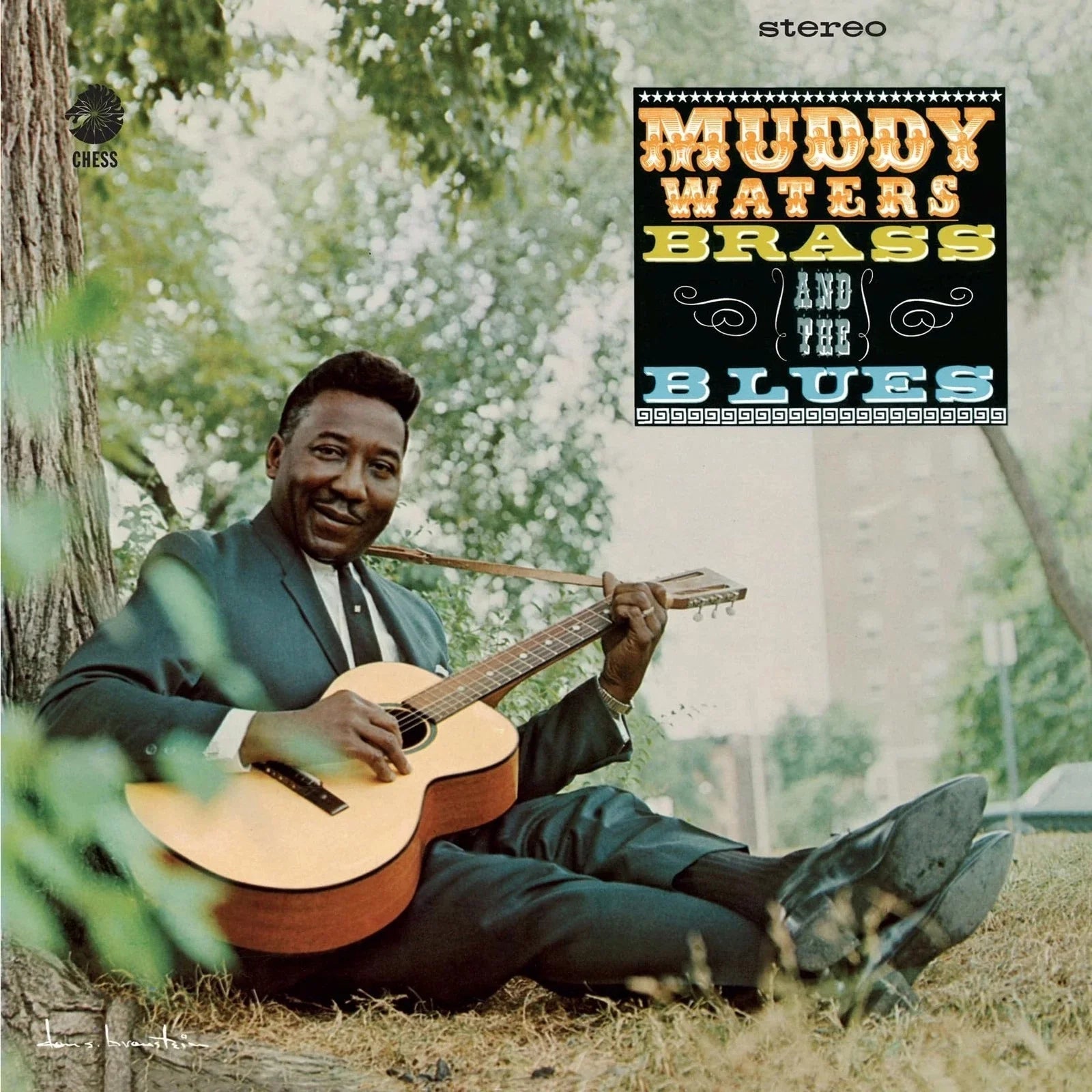 Muddy Waters - Muddy, Brass And The Blues (Chess Acoustic Sounds Series) [180G LP]