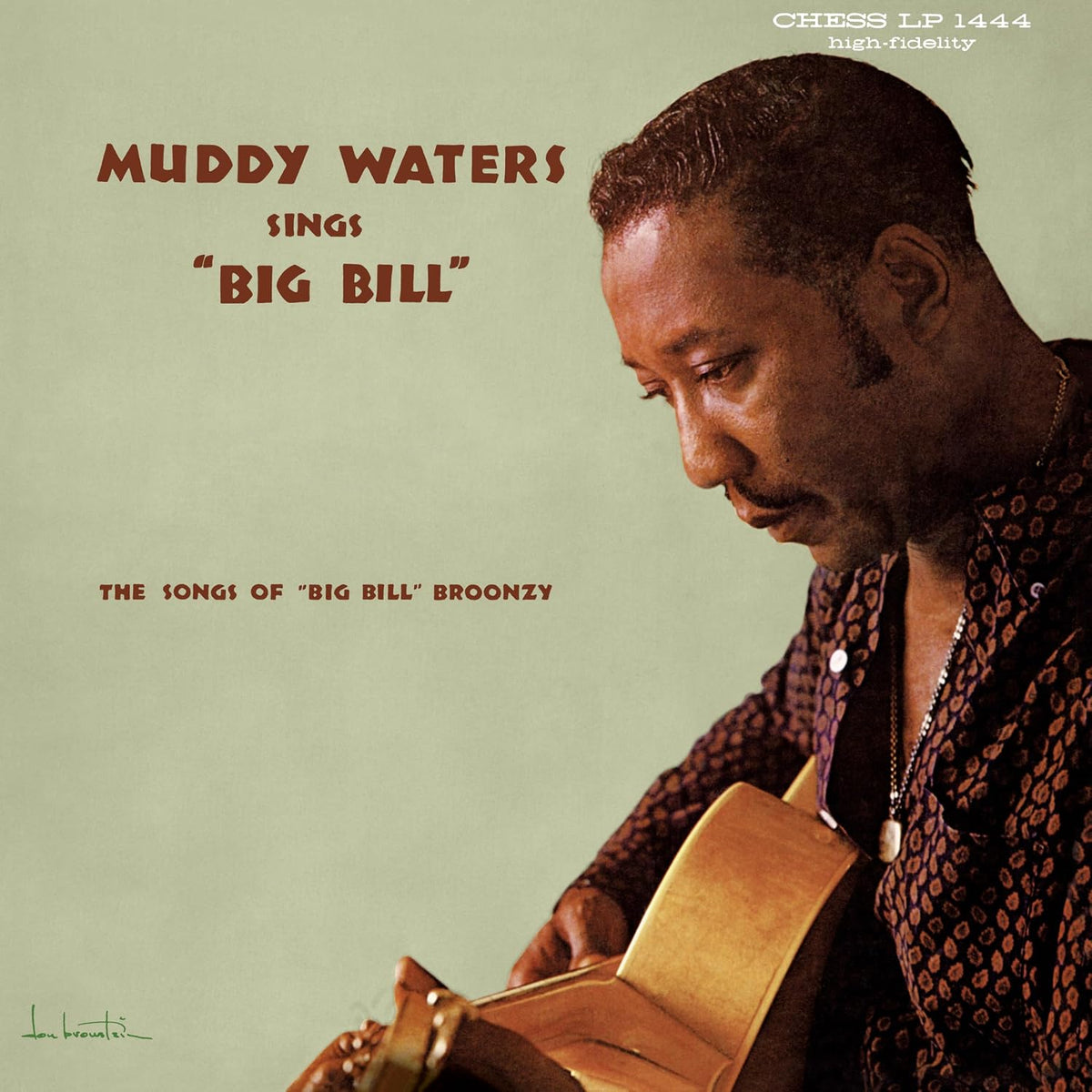 Muddy Waters - Muddy Waters Sings "Big Bill" (Chess Acoustic Sounds Series) (180 Gram Vinyl)