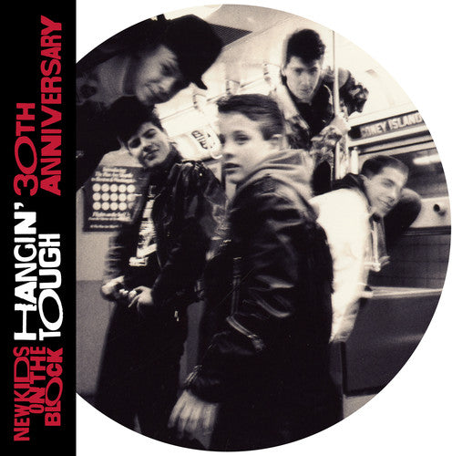 Order New Kids on the Block - Hangin' Tough (30th Anniversary Edition 2xLP Picture Disc Vinyl)