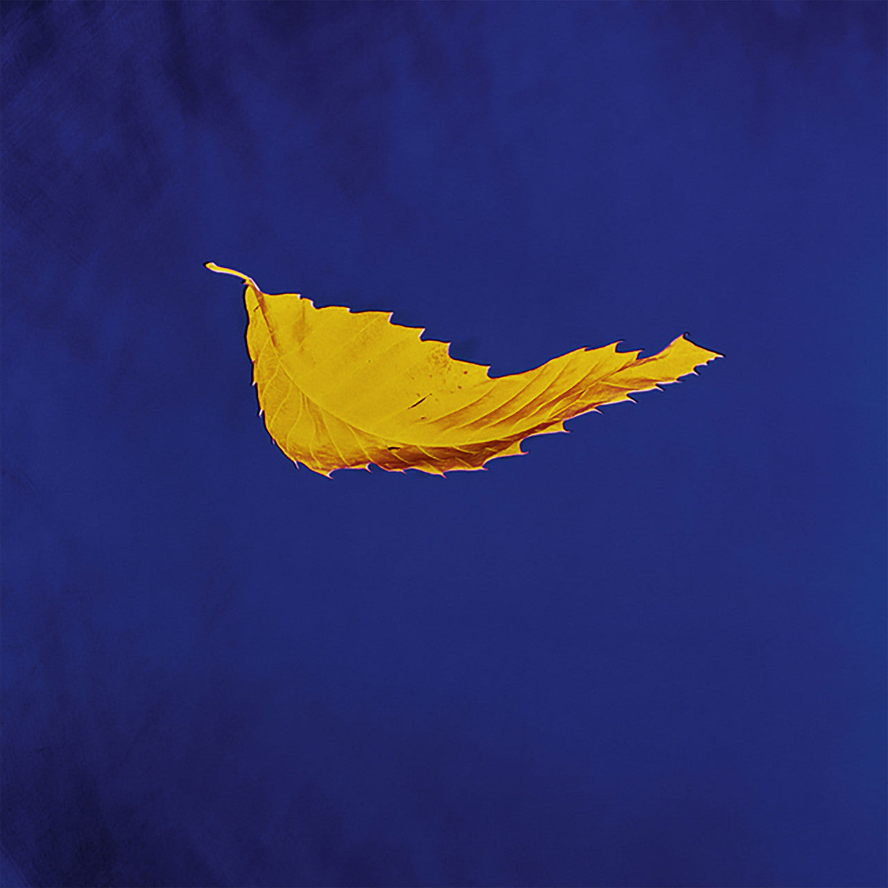 Order New Order - True Faith (45rpm 12" Vinyl Single)