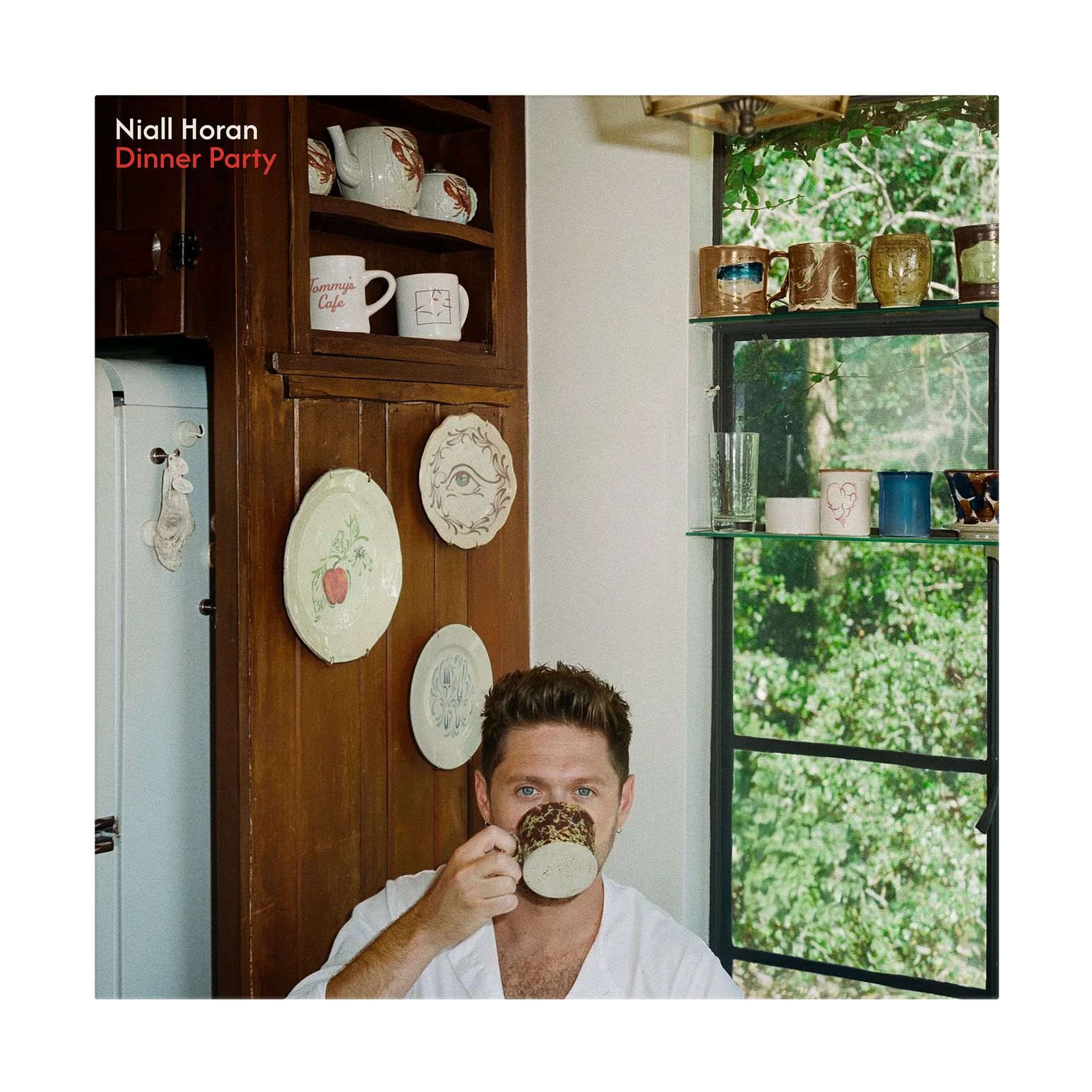 Niall Horan - Dinner Party [Explicit Content] (Limited Edition, Signed, Porcelain Vinyl, Alternative Edition)