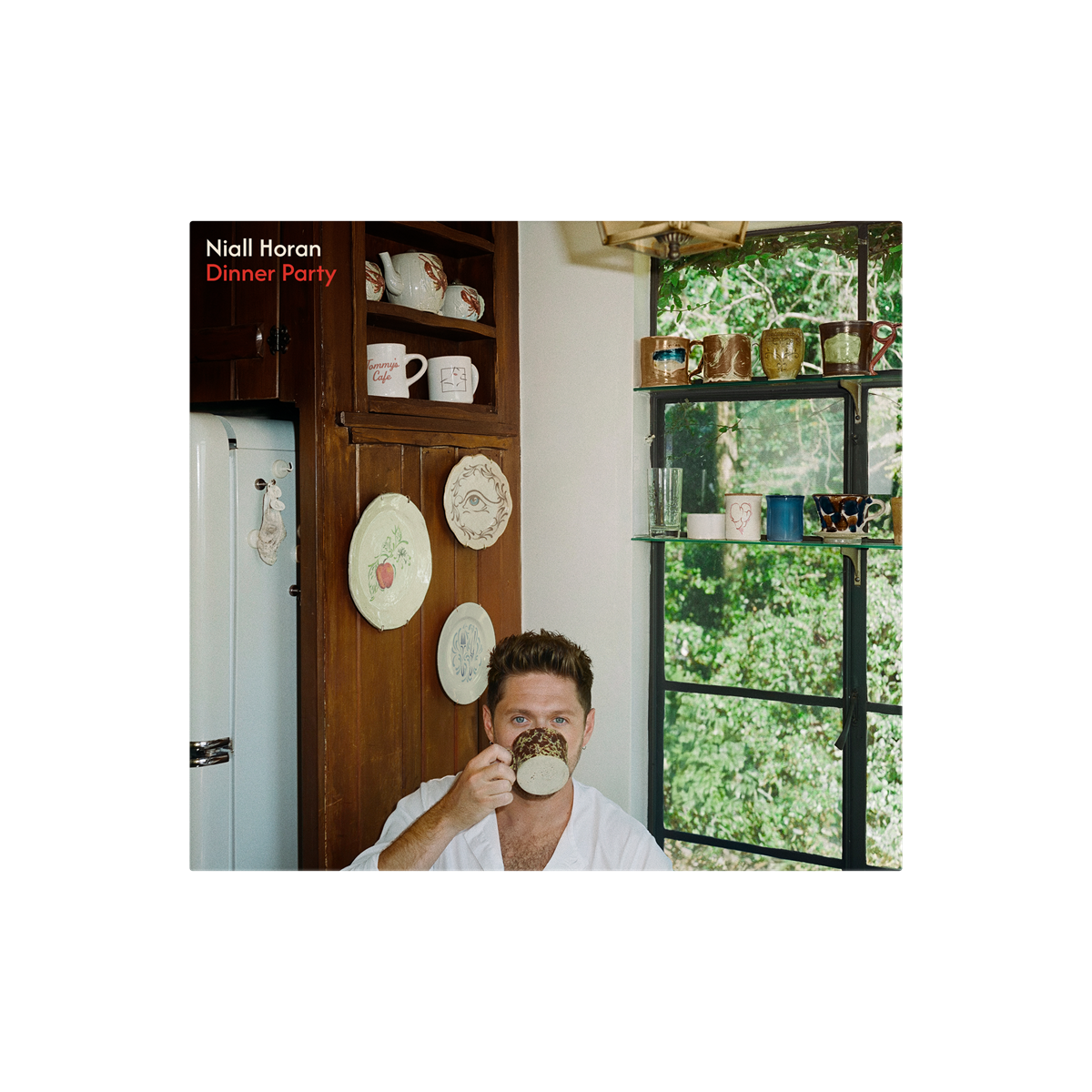 Niall Horan - Dinner Party (Signed Insert) [Porcelain LP]