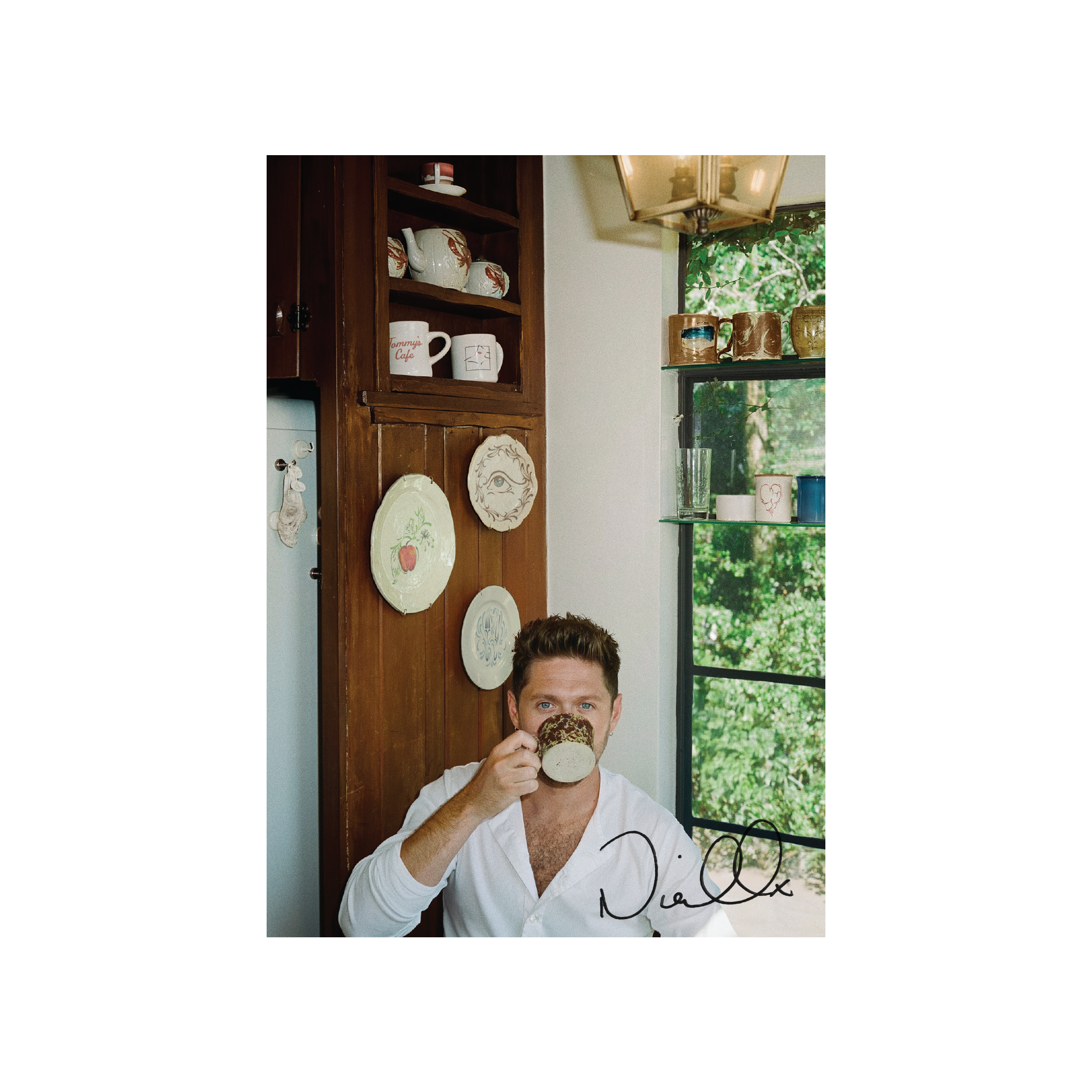 Niall Horan - Dinner Party (Signed Insert) [Porcelain LP]