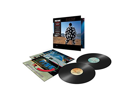 Pink Floyd - DELICATE SOUND OF THUNDER (LIVE) (Vinyl)