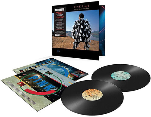 Order Pink Floyd - Delicate Sound Of Thunder (Reissue, 2xLP Vinyl, Import)
