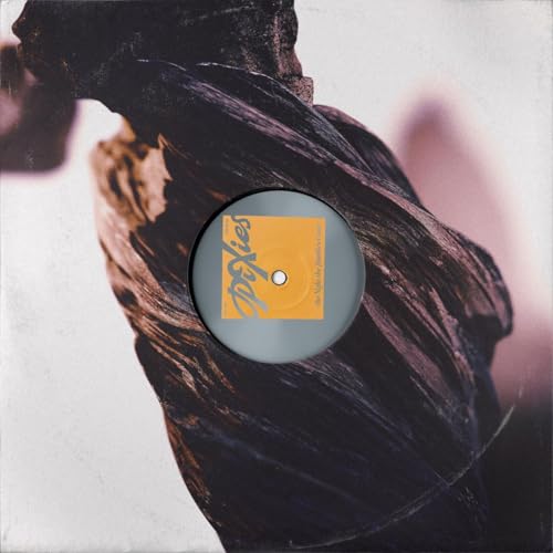 Pixies - The Night The Zombies Came [LP]