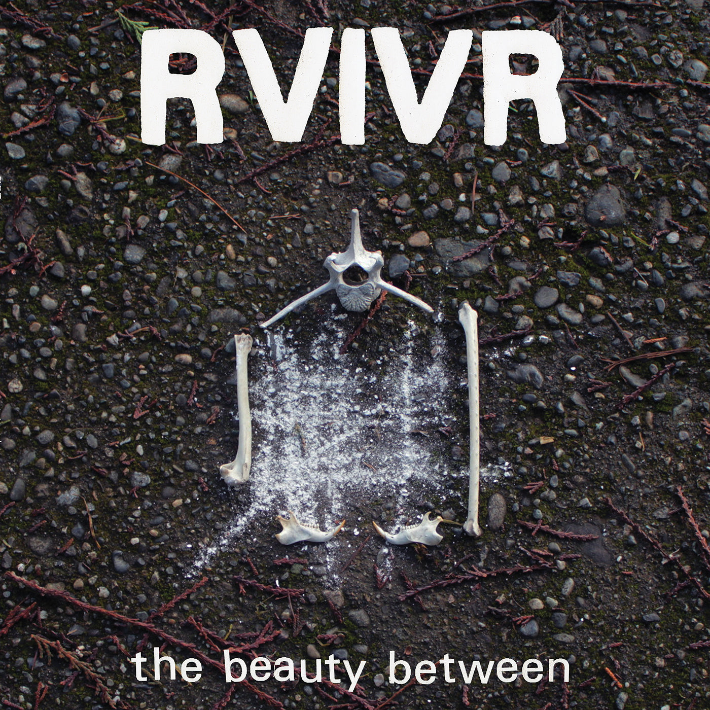 RVIVR - The Beauty Between [Black/Clear Vinyl]
