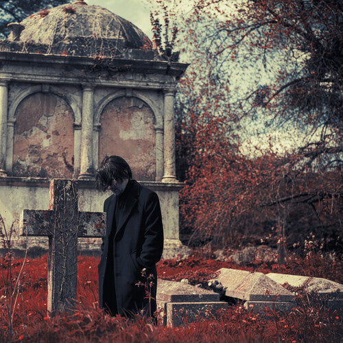 Steven Wilson - Requiem for a Village (Indie Exclusive, Dark Green Colored Vinyl) (2 LP)