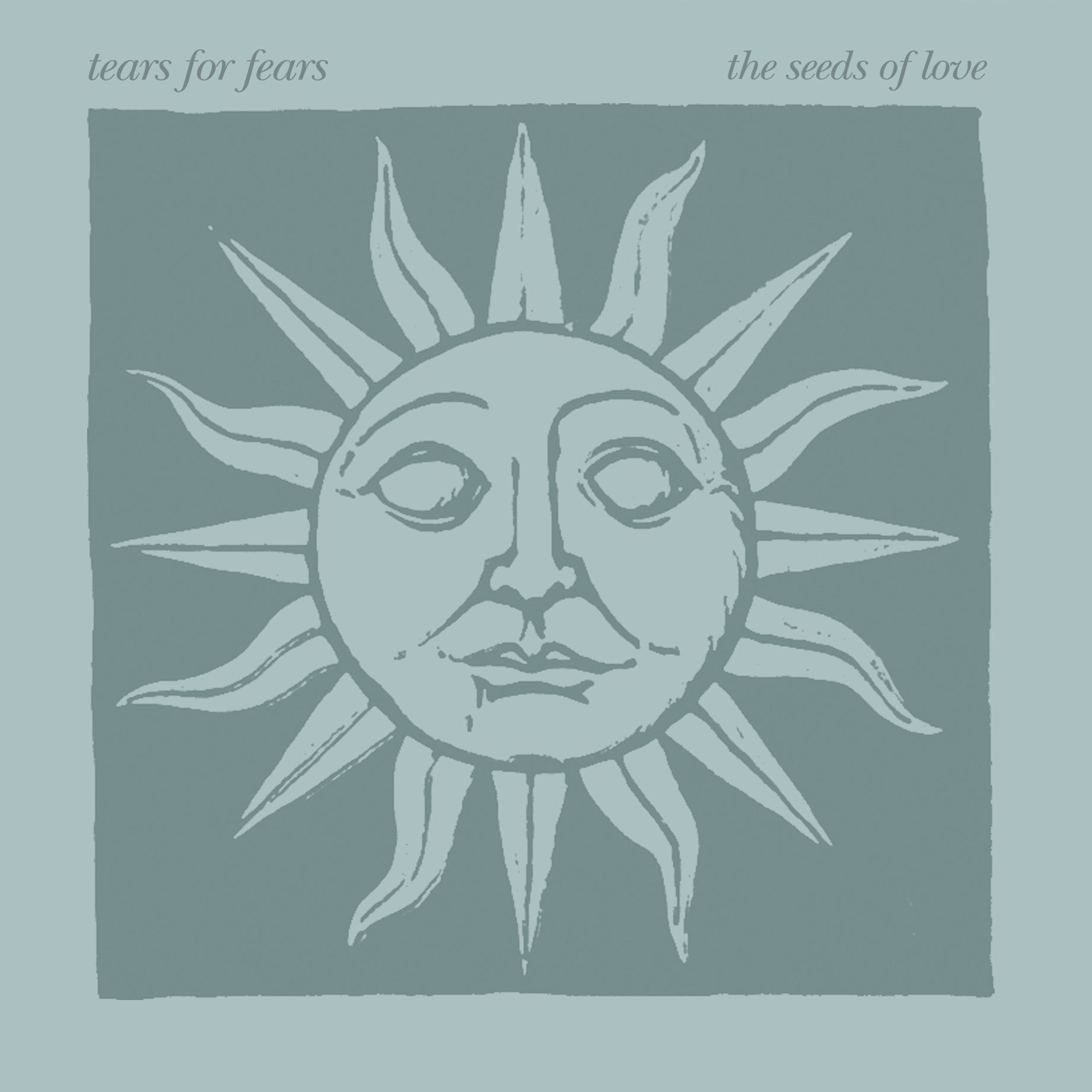 Tears For Fears - The Seeds Of Love (Deluxe Edition) [Blue Marble] [2LP]