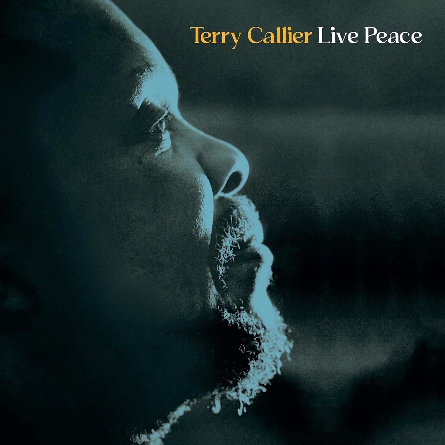 Terry Callier - Live Peace [2LP]