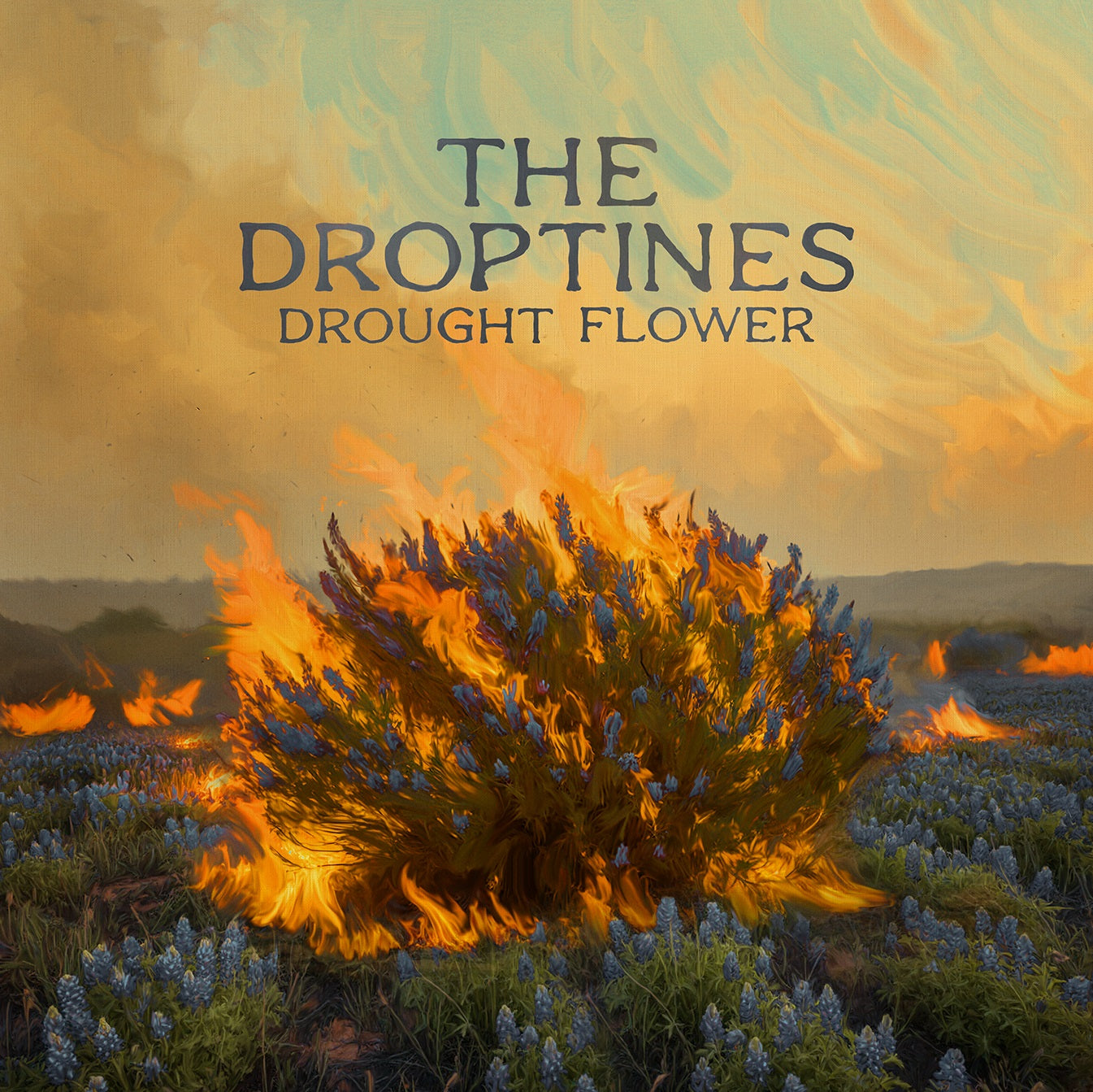 The Droptines - Drought Flower [LP]