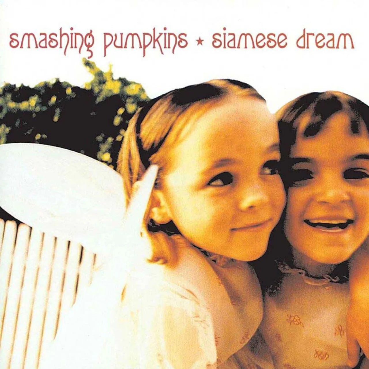 Order The Smashing Pumpkins - Siamese Dream (2xLP 180 Gram Vinyl)