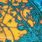 The Strokes - Is This It (Limited Edition)