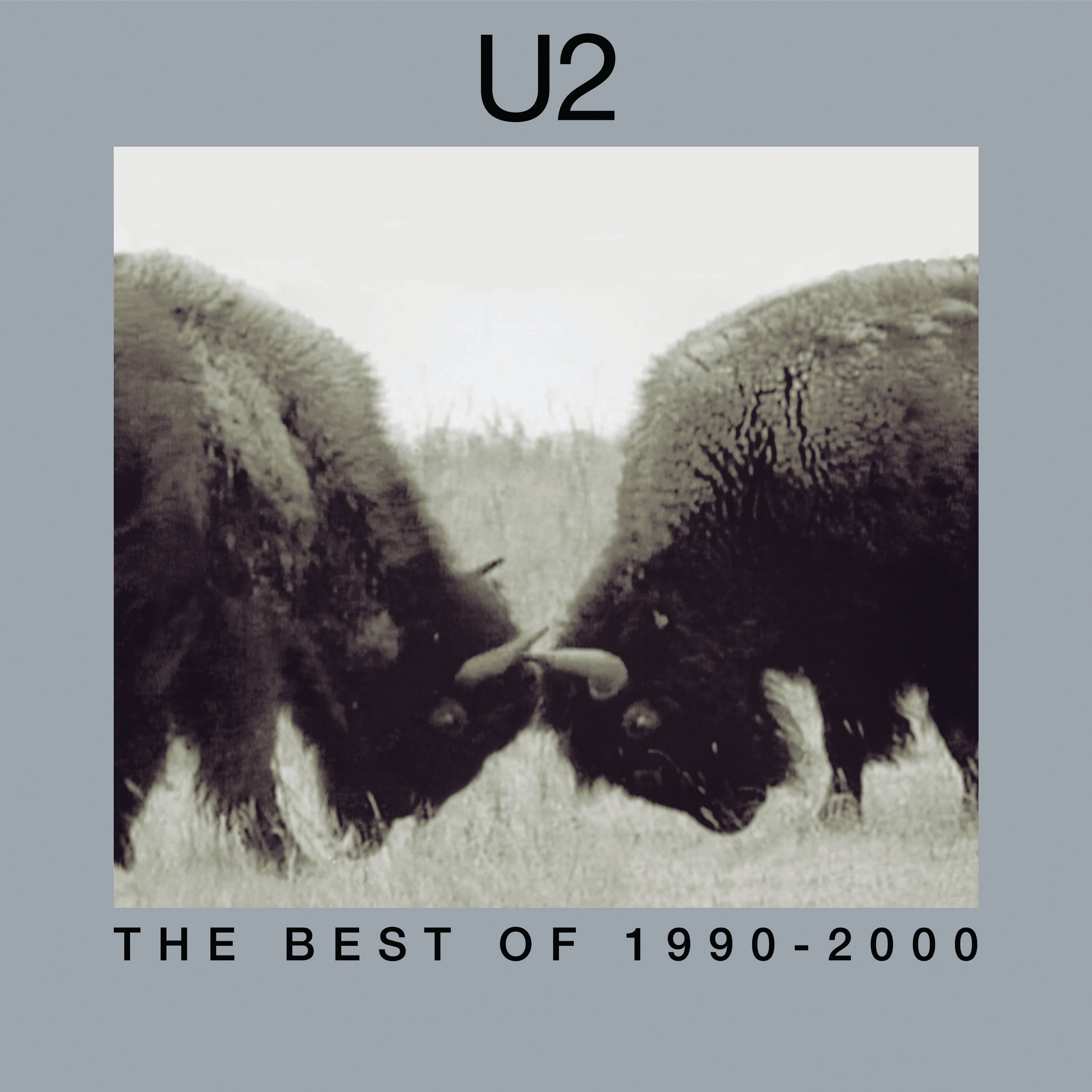 U2 - The Best Of 1990-2000 (180 Gram Vinyl) (2 Lp's)