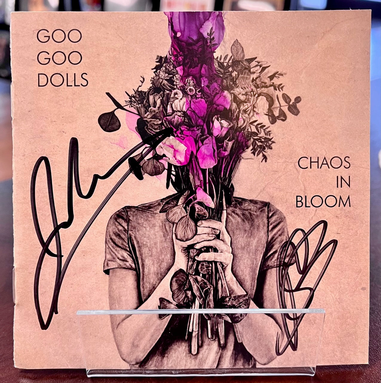 Buy  Goo Goo Dolls - Chaos In Bloom (Vinyl)